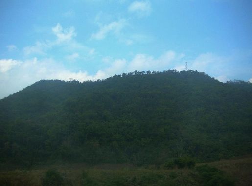 ไฟล์:Phu Thap Buek71.JPG - วิกิพีเดีย