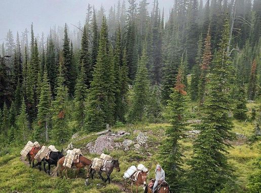 Horseback riders trail Emerald Lake | Free Photo - rawpixel