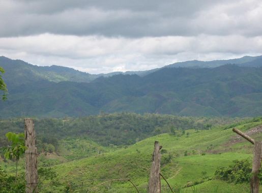 Archivo:Río Plátano Biosphere Reserve-109063.jpg - Wikipedia, la  enciclopedia libre