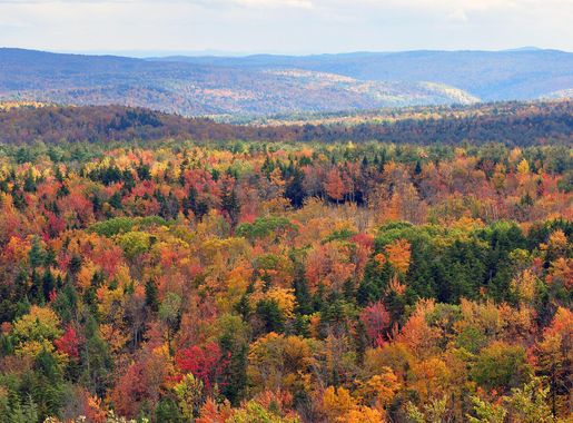 File:Vermont fall foliage hogback mountain.JPG - Wikimedia Commons