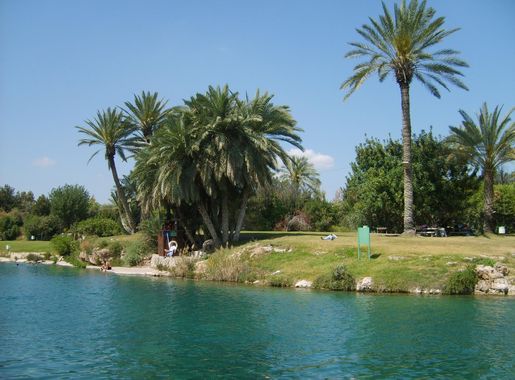 File:Gan Hashlosha National Park Pool1 200704.JPG - Wikimedia Commons
