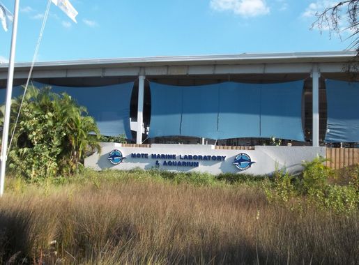 File:FL Sarasota Mote Marine Lab03.jpg - Wikimedia Commons