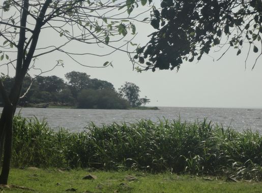 File:View of Lake Victoria.JPG - Wikimedia Commons