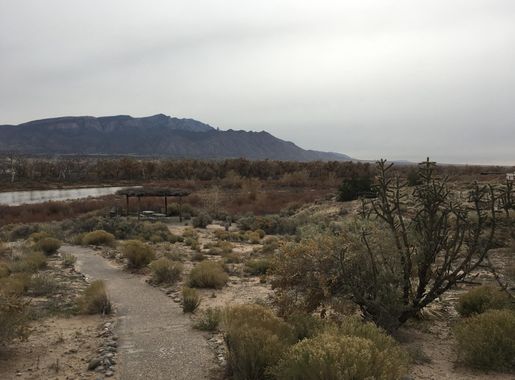 File:A walking trail leading to the Rio Grande River at Kuaua Ruins, Coronado  Historic Site in Bernalillo, NM (cf8b33df-c510-4380-8b9f-73cf5130ac8d).JPG  - Wikimedia Commons