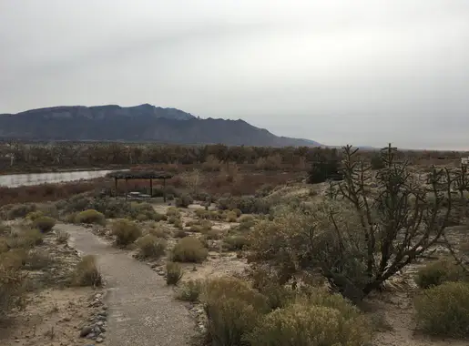 Bernalillo photo 3