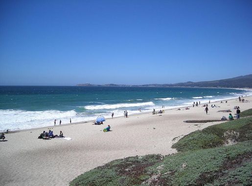 File:Half Moon Bay State Beach (Francis) L1 2007-Aug.jpg - Wikimedia Commons