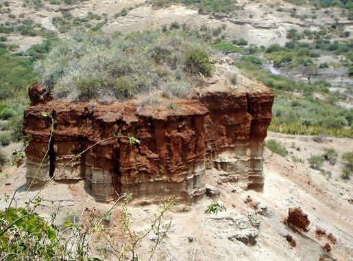 File:Olduvai gorge - Flickr - gailhampshire.jpg - Wikimedia Commons