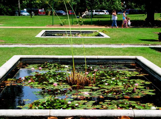 File:Tulsa Oklahoma Woodward Park Lily Pond.jpg - Wikimedia Commons