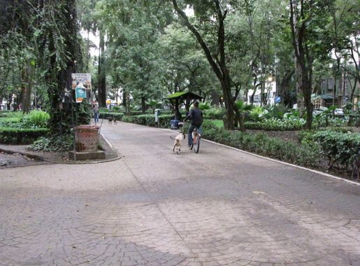 File:Un paseo en el Parque México en la colonia Condesa México.jpg -  Wikimedia Commons