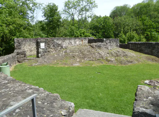 Schellenberg photo 2