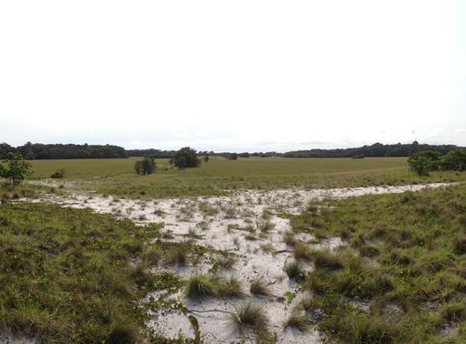 Loango National Park - Wikipedia
