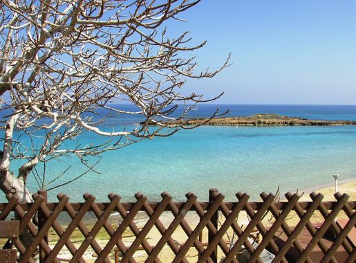 Free Images : beach, landscape, flower, calm, resort, cyprus, protaras, fig  tree bay 4608x2592 - - 820252 - Free stock photos - PxHere