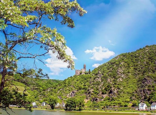 Page 5 | the Rhine river 1080P, 2K, 4K, 5K HD wallpapers free download,  sort by relevance | Wallpaper Flare