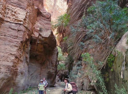File:19 Wadi Ghuweir Trail to Feynan - In the Oasis - panoramio.jpg -  Wikimedia Commons