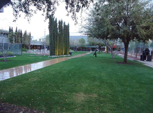 File:View of Phoenix Art museum outdoor garden area.JPG - Wikimedia Commons