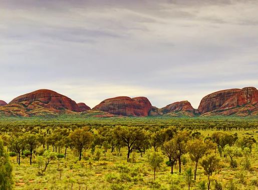 File:Panoramic view of Kata-Tjuta in the early morning.jpg - Wikimedia  Commons