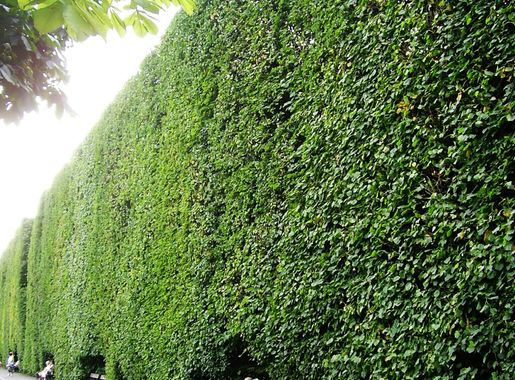 Plik:Gdańsk oliwa Park Rubin.jpg – Wikipedia, wolna encyklopedia