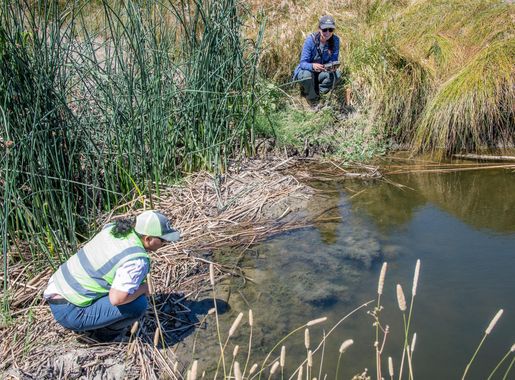 Innovation keeps Travis' natural resources thriving > Travis Air Force Base  > News