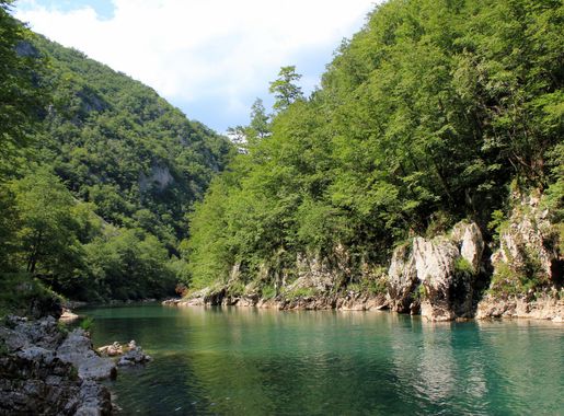 File:Tara River Montenegro 3.JPG - Wikimedia Commons