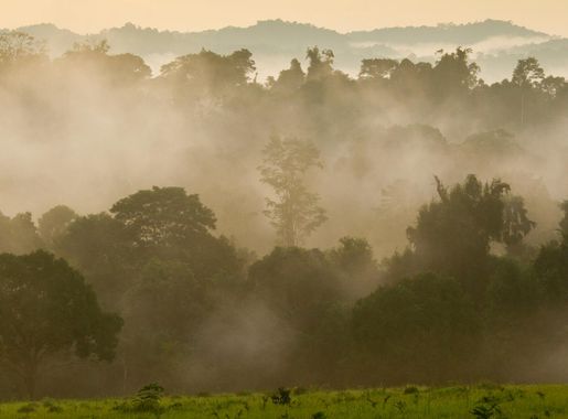 File:Khao Yai National Park 4.jpg - Wikimedia Commons