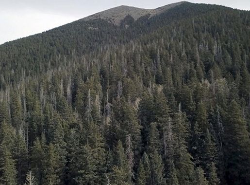 Desert Destinations: Humphreys Peak > Luke Air Force Base > Article Display