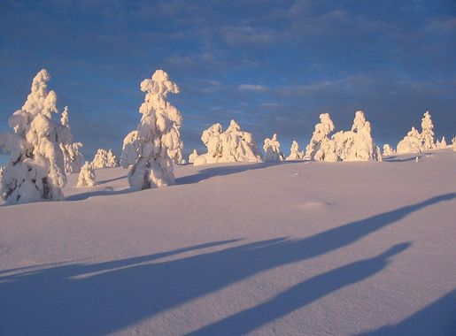 File:Levi, Kittila - Finland - panoramio - aristidov (7).jpg - Wikipedia