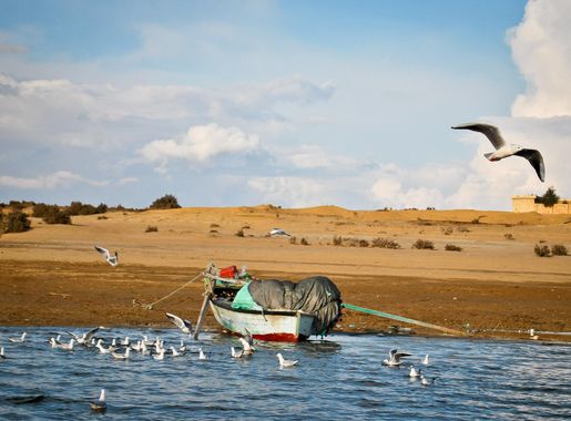 File:Wadi Elrayan - Egypt.jpg - Wikimedia Commons