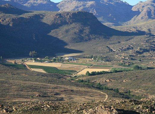 File:Vineyards in the Cederberg - South Africa.JPG - Wikimedia Commons