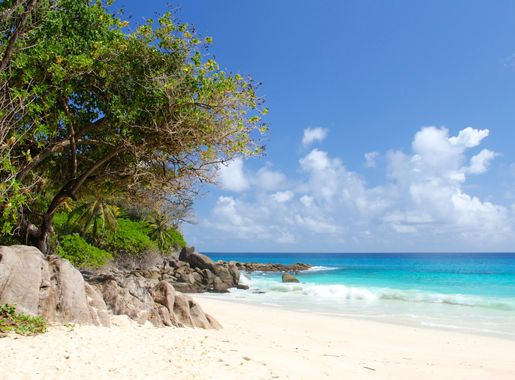Free Images : sea, coast, sand, shore, vacation, travel, cove, tropical,  holiday, lagoon, bay, island, body of water, caribbean, palm trees,  tropics, cape, islet, indian ocean, landform, seychelles, beautiful beach,  arecales 5007x3338 - -