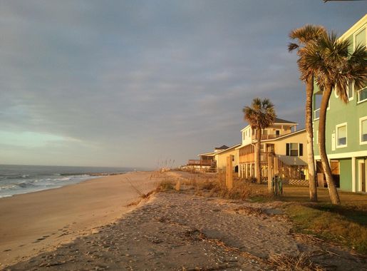 Shoreline Landscape of Estido Island in South Carolina image - Free stock  photo - Public Domain photo - CC0 Images