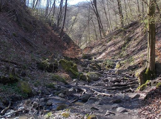 File:Három-forrás-Tal, 2024 Dömös.jpg - Wikimedia Commons