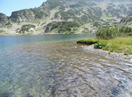 File:Popovo Lake, Pirin National Park 14.JPG - Wikimedia Commons