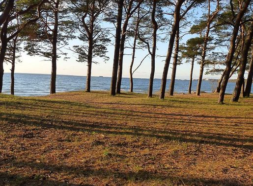 File:View to sand surface and sea on Pirita beach.JPG - Wikimedia Commons