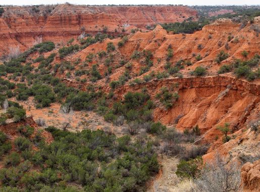 File:Holmes Creek Caprock Canyon State Park Texas 2023.jpg - Wikimedia  Commons