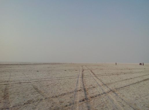 File:White Rann of Kutch - Landscape.jpeg - Wikimedia Commons