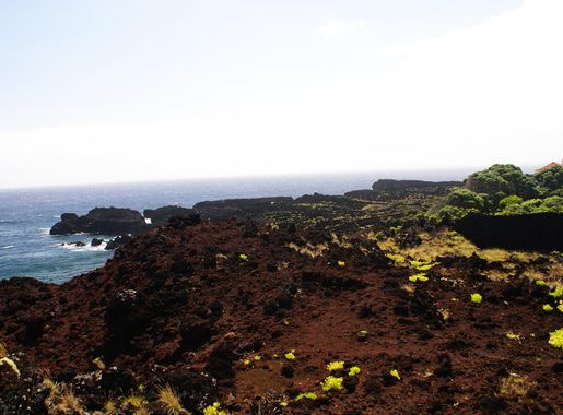 File:Ponta da ilha, paisagem observável do trilho pedestre, Piedade, Lajes  do Pico, ilha do Pico, Açores, Portugal.JPG - Wikimedia Commons