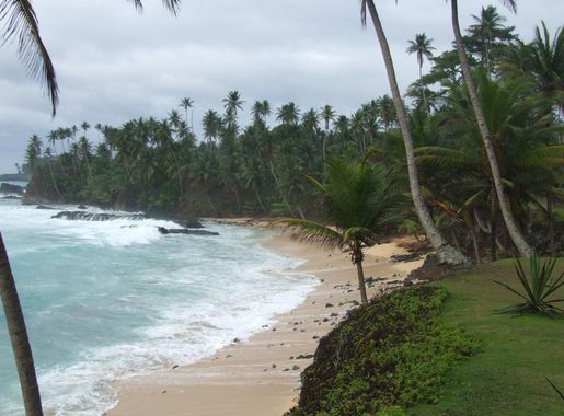 File:São Tomé - Ilhéu das Rolas - Praia de Santo António (3).jpg -  Wikimedia Commons