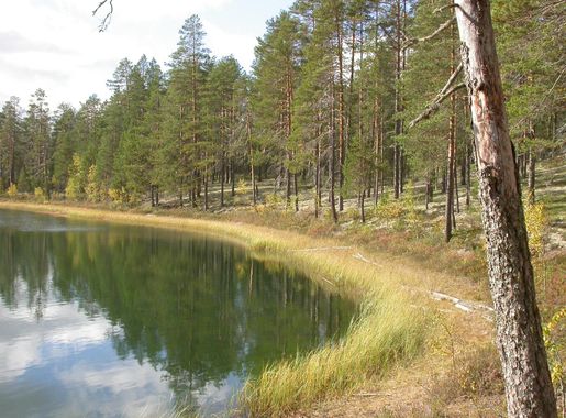 Tiedosto:Rokuan kansallispuisto.JPG – Wikipedia
