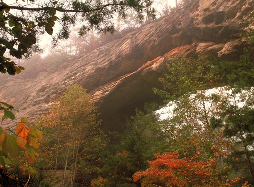 File:Fall Color at Natural Arch - Sterns RD - Daniel Boone National Forest.jpg  - Wikimedia Commons
