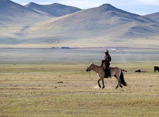File:Khustain Nuruu National Park (Mongolia).jpg - Wikimedia Commons