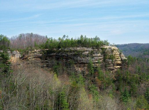 File:KY rock cliff.jpg - Wikimedia Commons
