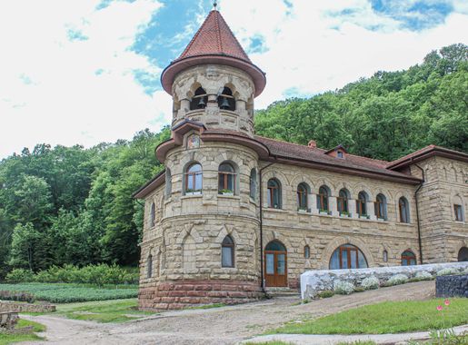 Fișier:Rudi 2020 08.jpg - Wikipedia