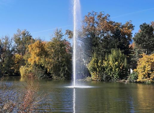 File:31 - Toulouse - Jardin Compans-Caffarelli - Le jet d'eau.jpg -  Wikimedia Commons