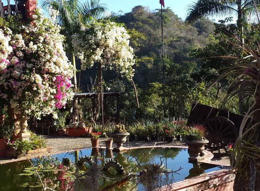 File:Vallarta Botanical Gardens.jpg - Wikipedia