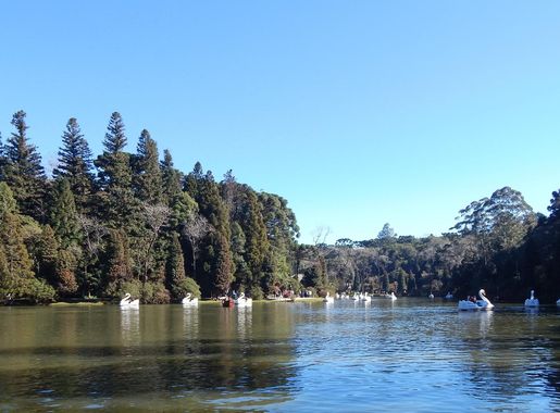Ficheiro:Lago Negro, Gramado, RS, Brasil.jpg – Wikipédia, a enciclopédia  livre