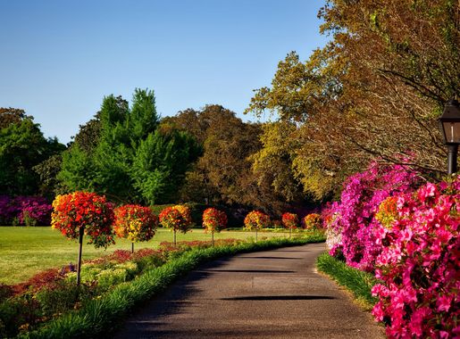 Bellingrath Gardens landscape in Alabama image - Free stock photo - Public  Domain photo - CC0 Images