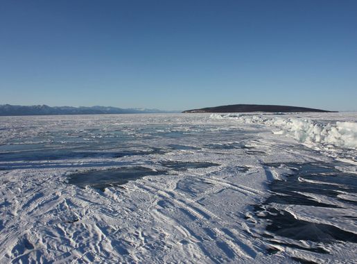 File:МОДОН ХҮЙ АРАЛ - panoramio.jpg - Wikimedia Commons
