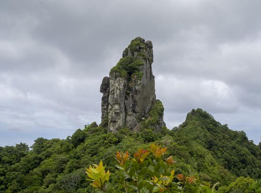 File:Rarotonga, Te Rua Manga (The Needle).jpg - Wikimedia Commons