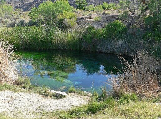 File:Ash Meadows Point of Rocks Springs 2.jpg - Wikimedia Commons