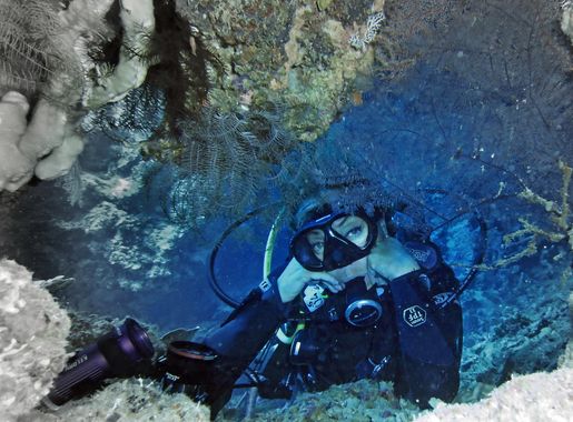Free Images : ocean, woman, underwater, extreme sport, diver, sports,  philippines, undersea, scuba diving, outdoor recreation, marine biology  4000x3000 - - 1224016 - Free stock photos - PxHere